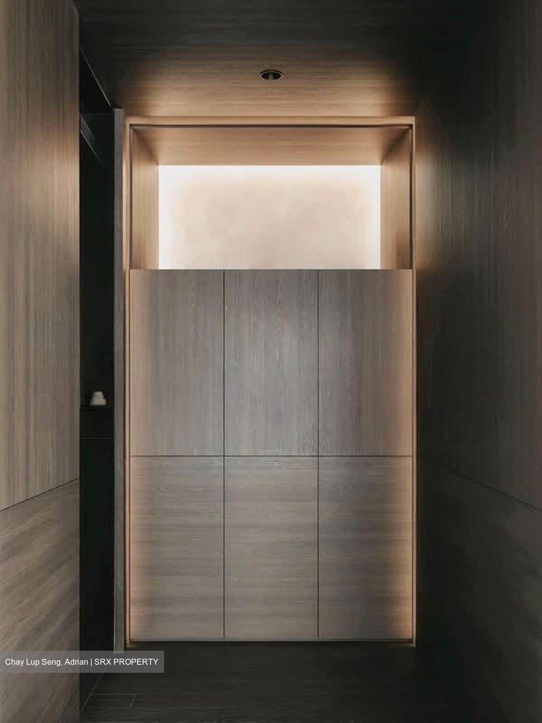 The Light @ Cairnhill (D9), Condominium #540907601